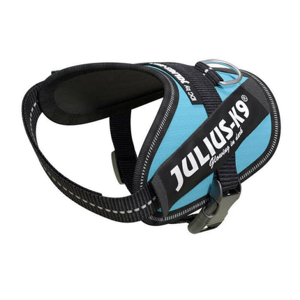 Julius - K9 IDC Powerharness Aquamarine - high-quality harness for dogs in.