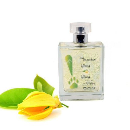 Dog Generation Ylang Ylang - perfume for dogs with a pleasant floral scent.