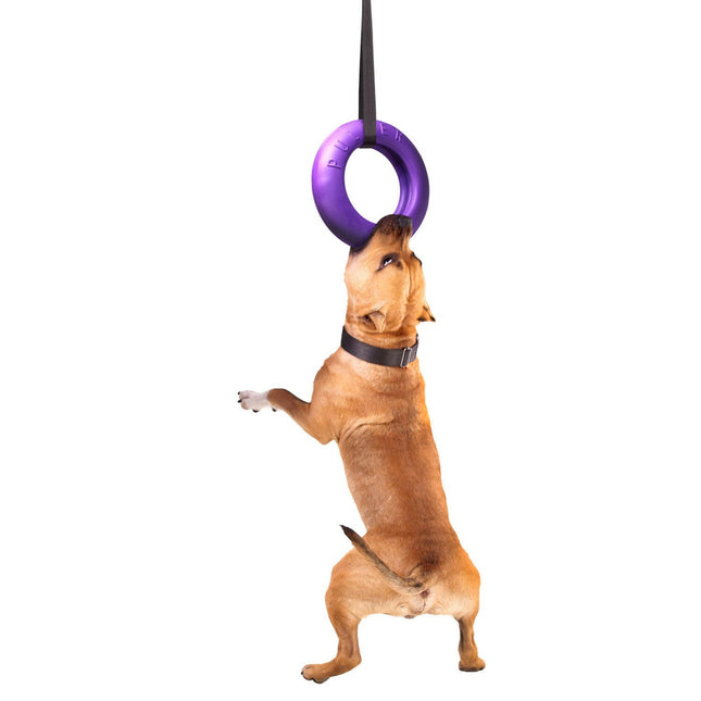 Puller Maxi 30cm 1pc - fetch toy for dogs, training toy.