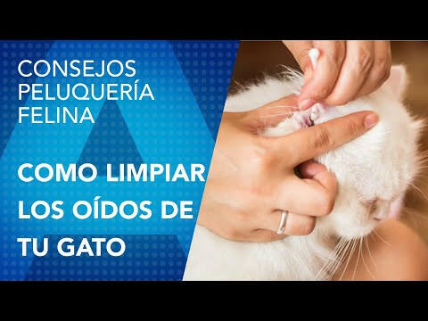 Artero Ear Cleaning Wipes 50 pcs - wipes for cleaning ears for dogs and cats.