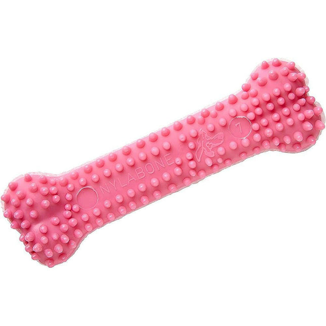Nylabone Puppy Dental Bone Chicken - safe dental chew for puppies, with a chicken flavor.