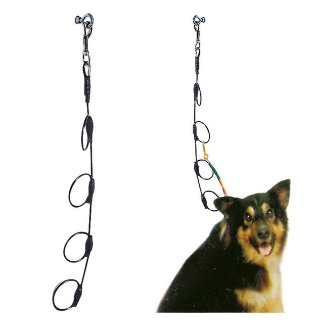Blovi - vertical leash for multiple dogs.