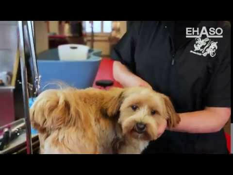 Ehaso Revolution Super Curve Scissors - professional extra curved scissors (30° angle), made of the highest quality hard Japanese steel, 21cm.