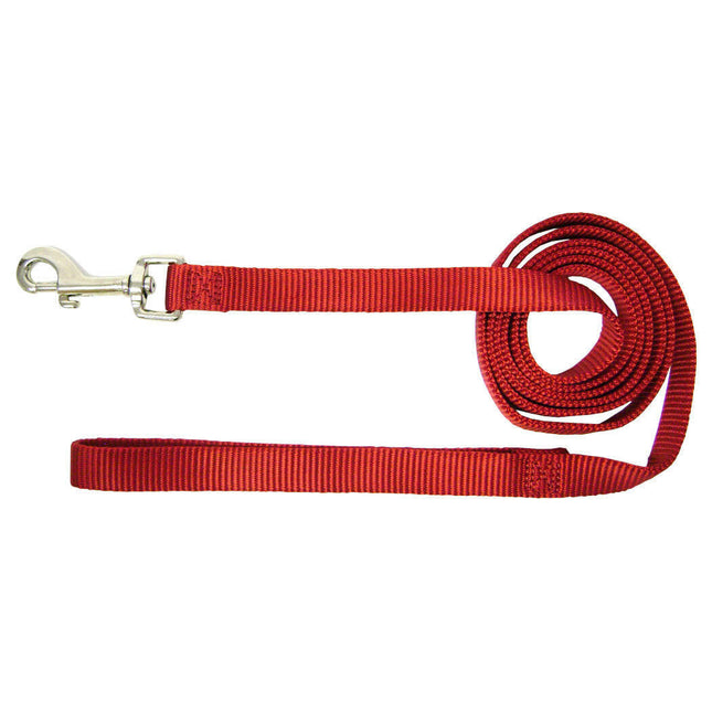 Hamilton Single Thick Leash Long - nylon leash for small breed dogs, width 16mm, length.