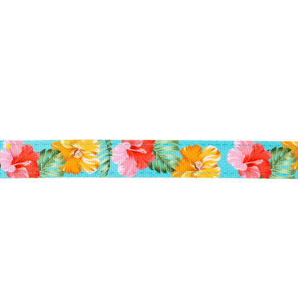 Max&Molly GOTCHA! Smart ID Cat Collar Exotique - colorful collar for cats with a smart Tag pendant.