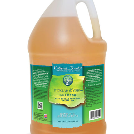 Bio - Groom Lemongrass & Verbena Shampoo - exclusive shampoo for dogs and cats, with lemongrass and verbena