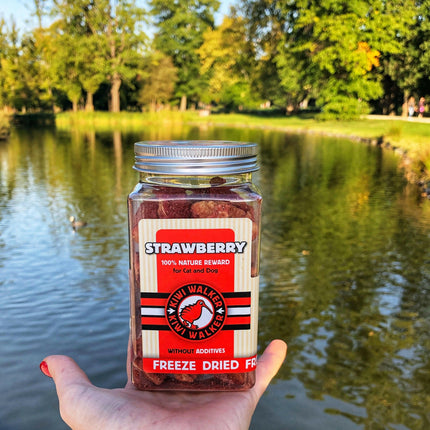 Kiwi Walker Snacks Strawberry - 100% strawberries, freeze-dried, natural treats for dogs and cats.