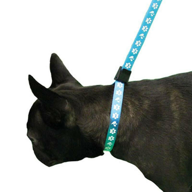 Groom Professional Amoz Pro 40cm - nylon grooming leash with white paw print design, blue, wide.