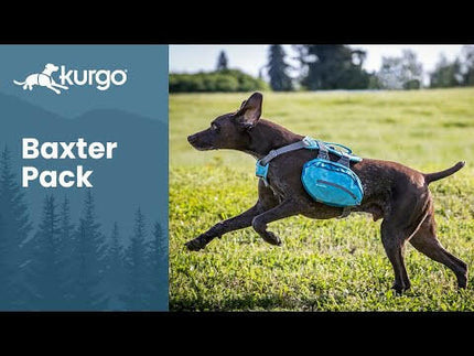 Kurgo Big Baxter Backpack 7.5L - saddlebags for large and giant dogs.