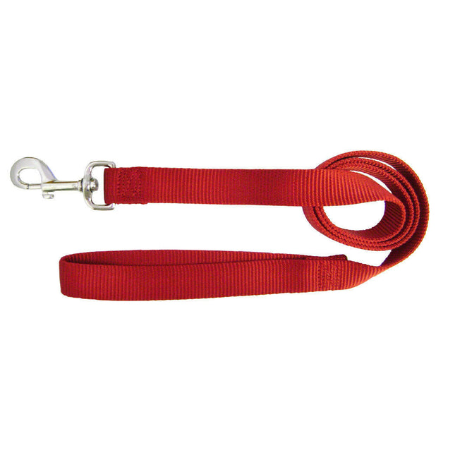 Hamilton Single Thick Leash Long - nylon leash for medium and large breed dogs, width 25mm, length.