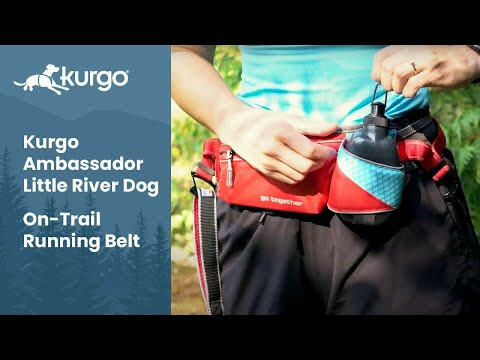 Kurgo Springback Leash - running leash for dogs with shock absorber.
