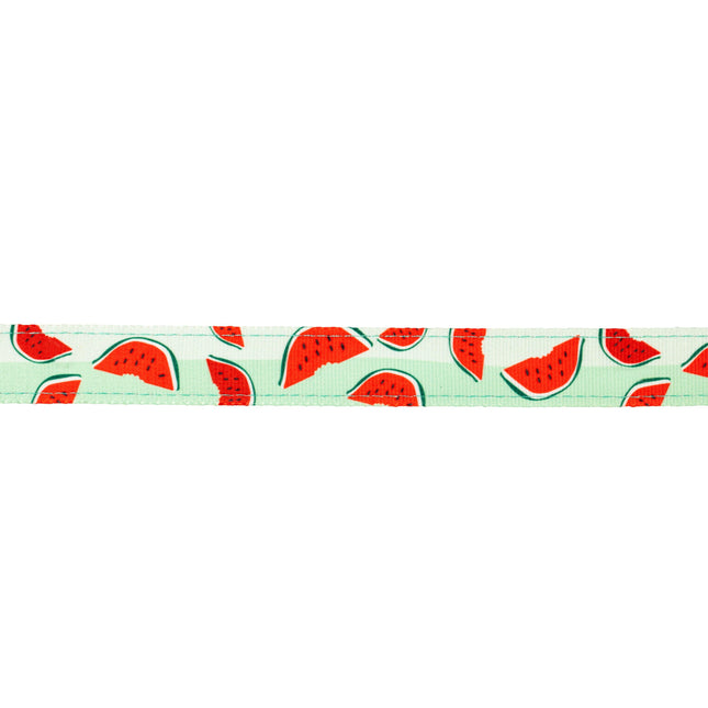 Max&Molly GOTCHA! Smart ID Cat Collar Watermelon - colorful collar for cats with a smart Tag pendant.