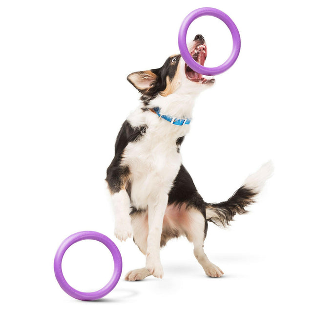 Puller Mini 18cm 2pcs - ring for small dogs, training toy.