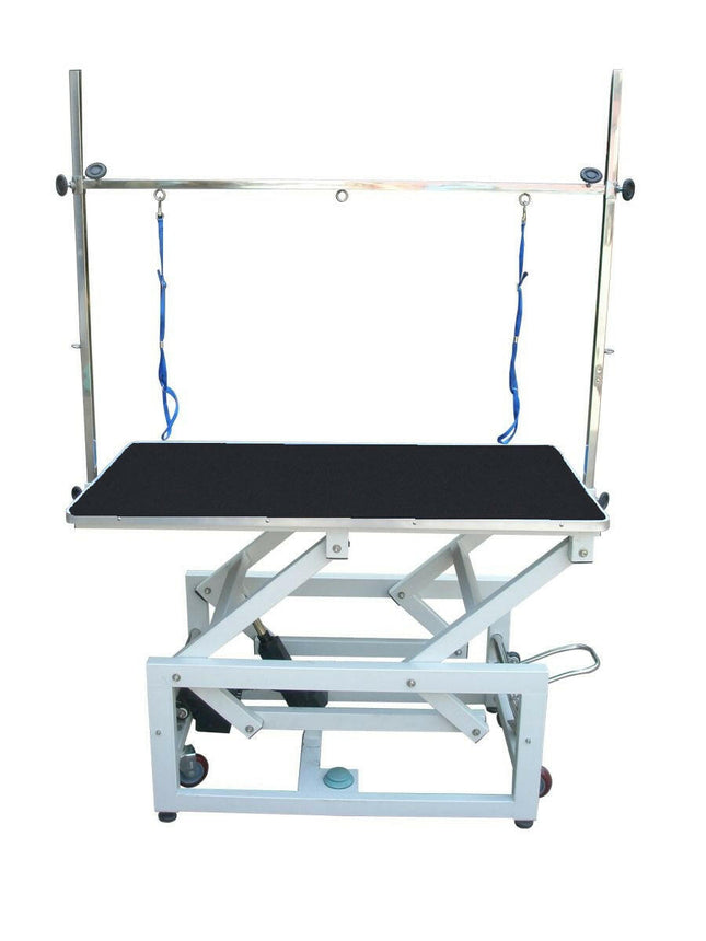 Blovi Magnum - professional large grooming table with electric lift.