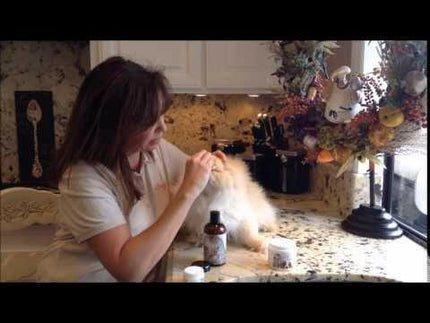 Eye Envy Cat Starter Kit - cosmetics set for removing discoloration under a cat's eyes.