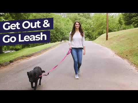 Hamilton Go Boldly Travel Bowl - textile, collapsible travel bowl for dogs.