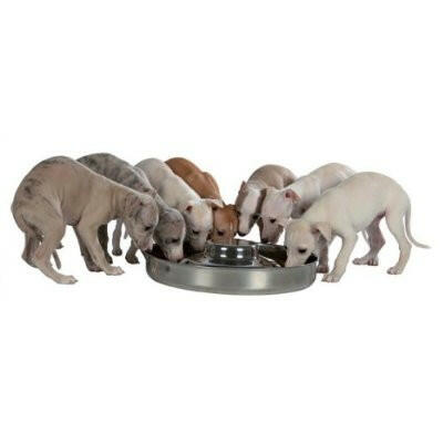 Show Tech large puppy feeding bowl.