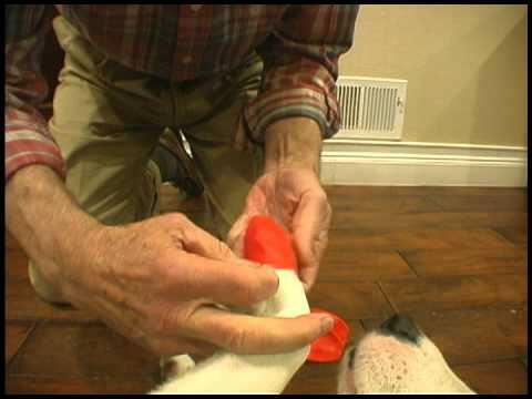 PAWZ - rubber dog boots, size S, 12 pieces.