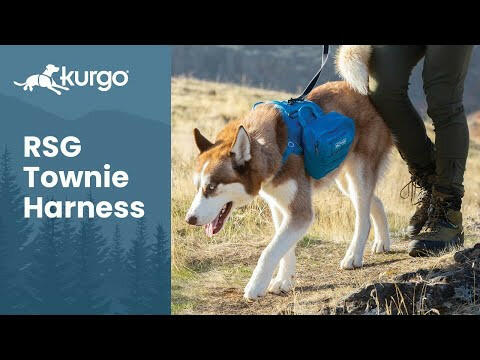 Kurgo RSG Pack Pannier - dog saddlebag.