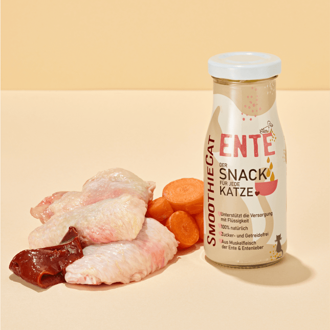 SmoothieCat Duck - smoothie for cats, duck with vegetables.