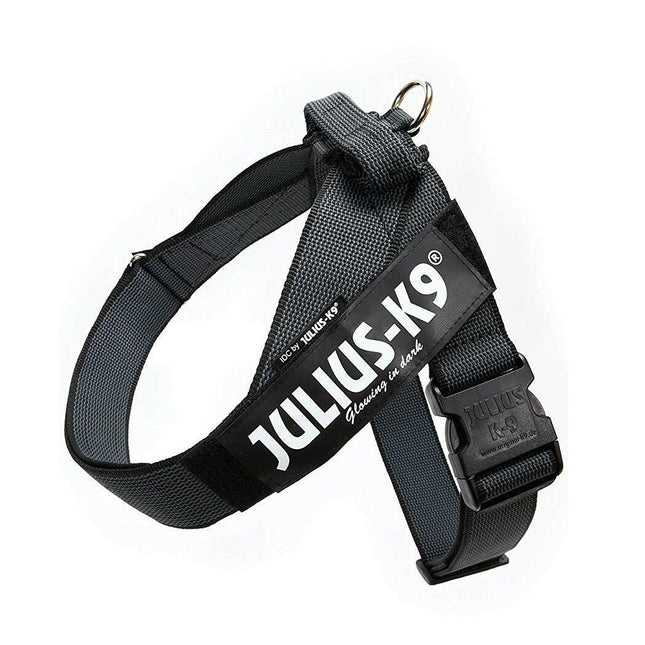 Julius - K9 IDC Color & Gray Belt Harness - dog harness, belt harness.