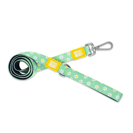 Max&Molly Short Leash Margarite - colorful urban leash for dogs, daisy pattern, 120cm.