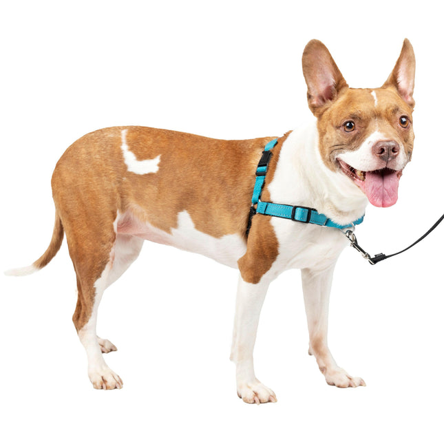 PetSafe Easy Walk Deluxe Harness Ocean - soft harness and leash for dogs, black.