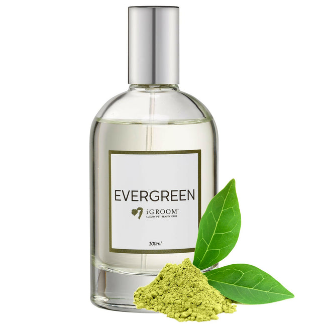 IGroom Eau De Toilette Evergreen - dog perfume with a fresh scent of tea and citrus.